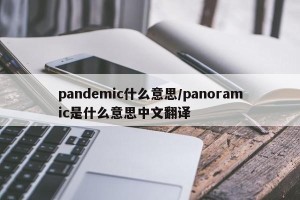 pandemic什么意思/panoramic是什么意思中文翻译