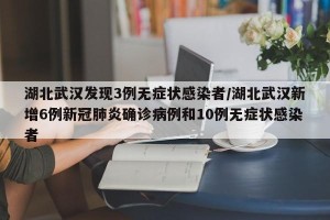 湖北武汉发现3例无症状感染者/湖北武汉新增6例新冠肺炎确诊病例和10例无症状感染者